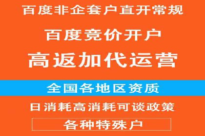 百度竞价账户管理攻略：实战案例与技巧分享